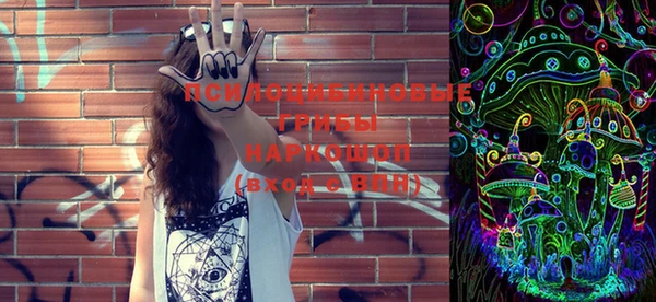 PSILOCYBIN Баксан