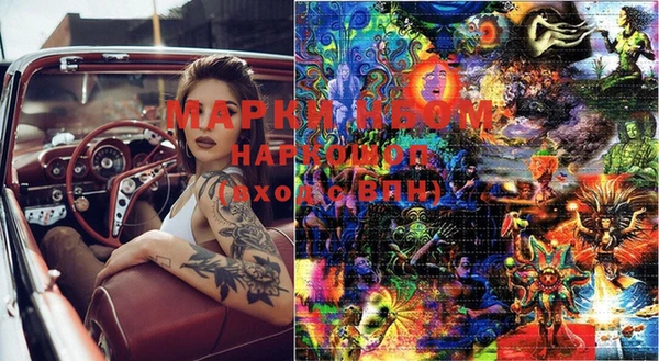 PSILOCYBIN Баксан