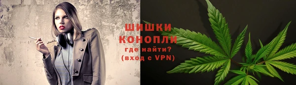 PSILOCYBIN Баксан