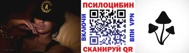 Псилоцибиновые грибы MAGIC MUSHROOMS  Шебекино 